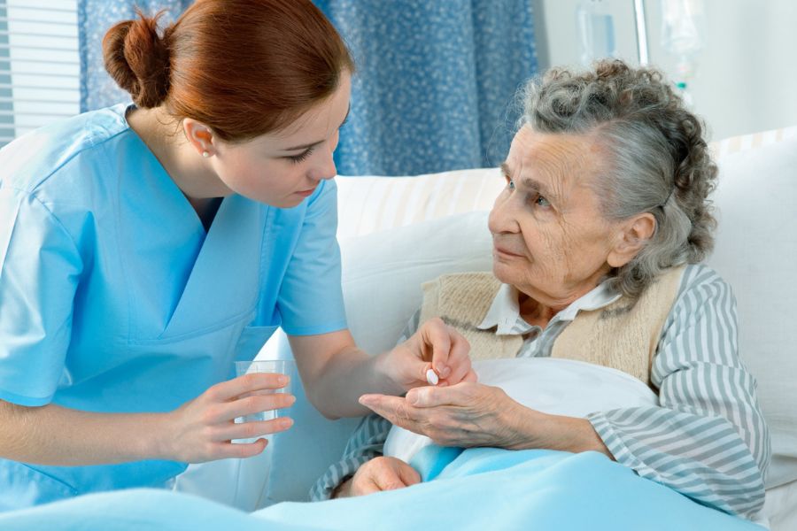 các ngành nghề du học đức